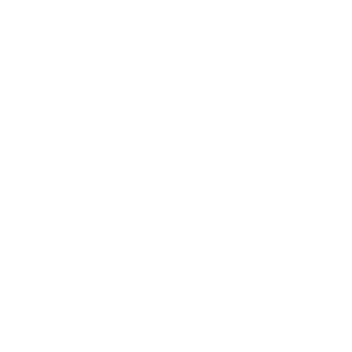 cost control icon white