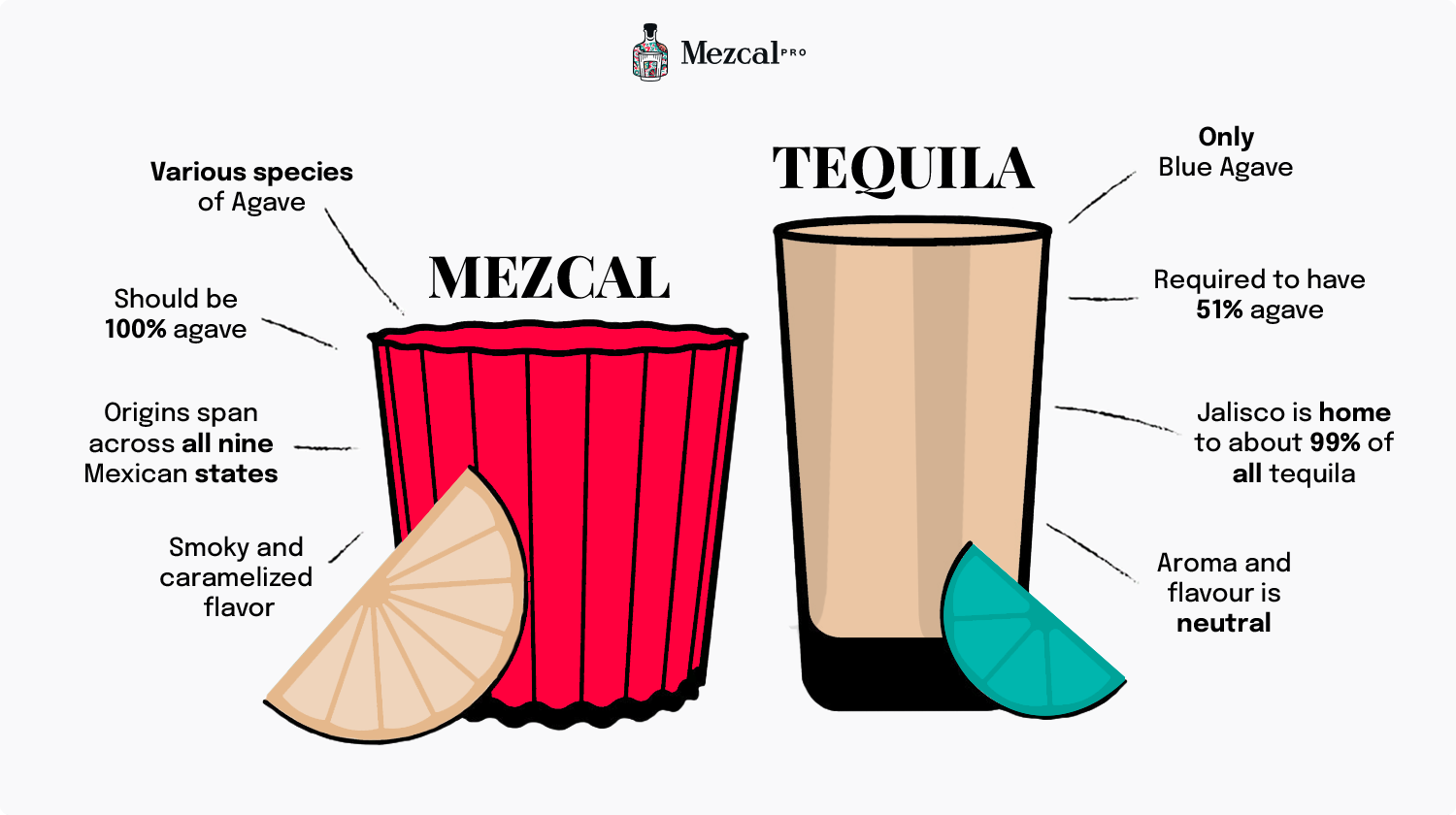 Infographic Tequila Mezcal What s The Difference 48 OFF